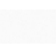 8876-11NA Обои фон TAVRIDA молоч/сереб.гор.тис/флиз.1,06х10,05/6 NewAGe