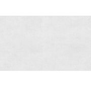 72266-14PL Обои фон Altai сер.винил/фл.1,06х10м /6