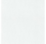 1825-71 Модуль Фон (мятн) Ф10-10/Обои флизелиновые 1,06х10м/9