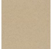 9256-22 Обои фон Era черно/золот.винил/флиз.1,06х10м/6