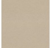9256-12 Обои фон  Era беж/жемч.винил/флиз.1,06х10м/6