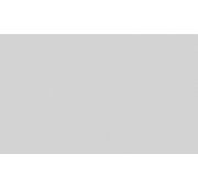 0480-21 Обои фон Феникс беж/сер/роз.винил. 0,53х10м/12