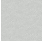 589523 Обои фон ASTRA винил/гор/флиз.VICTORIA STENOVA1,06х10м /6