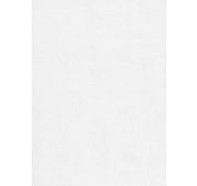 1938-62 Обои фон Колорит (Б1-00) винил. 0,53х10м/12