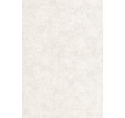 1938-61 Обои фон Колорит (Б1-00) винил. 0,53х10м/12